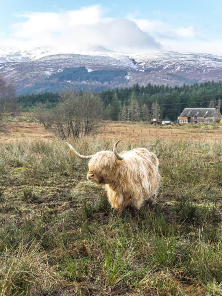 Looking for the perfect day trip from Edinburgh? If you want to see filming locations from Outlander and Harry Potter, witness the beauty of the mountains of Glencoe, and hunt for the Loch Ness Monster, read on about my experience touring the Scottish Highlands with Rabbie's Tours!