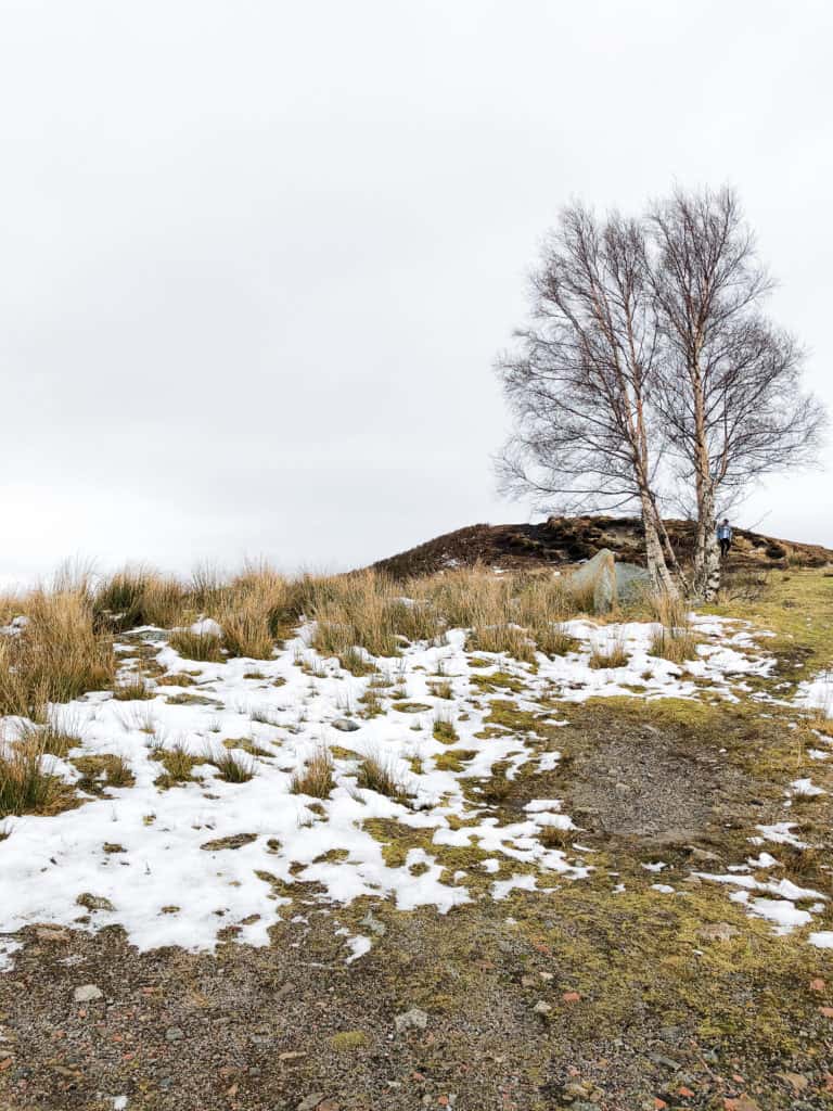 Looking for the perfect day trip from Edinburgh? If you want to see filming locations from Outlander and Harry Potter, witness the beauty of the mountains of Glencoe, and hunt for the Loch Ness Monster, read on about my experience touring the Scottish Highlands with Rabbie's Tours!