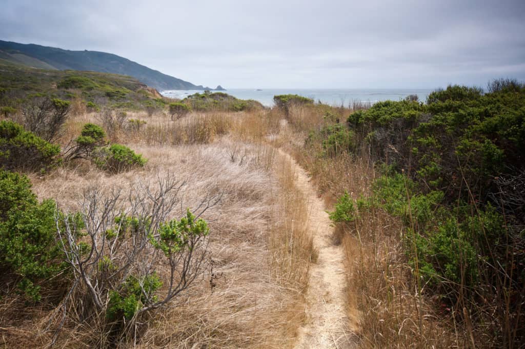 If Big Sur, CA is on your bucket list, be sure to read this extensive local's guide to hiking Big Sur, where to eat, how to support the community and find amazing local artisans, how to drive and hike Big Sur responsibly and so much more! Also contains local knowledge on when is the best time to visit Big Sur, what to pack for your trip to Big Sur, and what locals wish you knew before you travel to Big Sur. #bigsur #travel #visitCA #responsibletravel #sustainabletravel #california