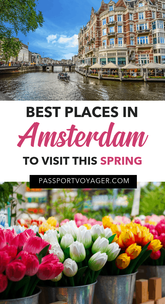 Don't miss the 26 hidden (and not-so-hidden) gems in this epic Amsterdam bucket list! Where to eat, what to explore, day trips from Amsterdam, and more. #amsterdam #netherlands #travel #wintertravel #europetravel